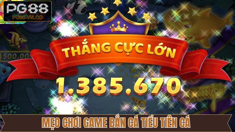 Chiến thuật chơi tiểu tiên cá hợp lý